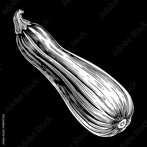 A drawing of a squash with a stem