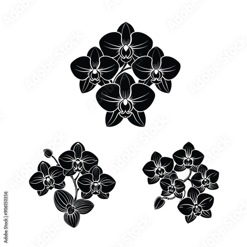 orchid flowers black color silhouette vector design