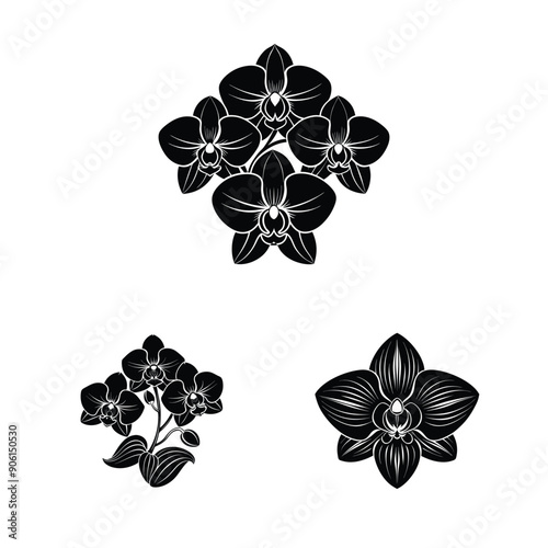 orchid flowers black colour silhouette vector design 1