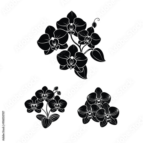 orchid flowers black color silhouette vector design