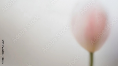 a thick, opaque and matte, smooth white frosted glass panel, Behind the glass, the vague suggestion of a tulip with stem is barely perceptible photo