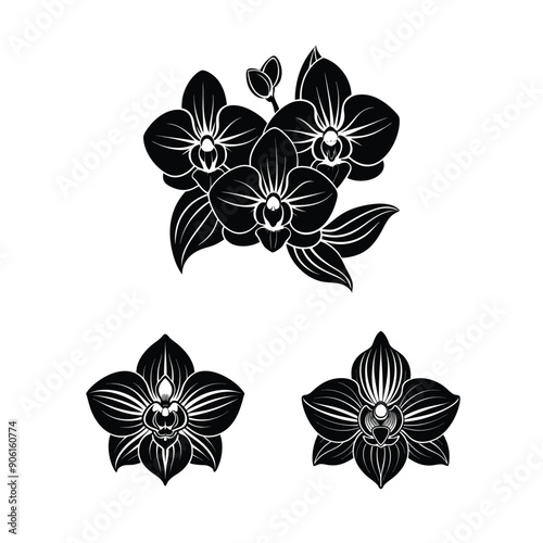 orchid flowers black colour silhouette vector design 1