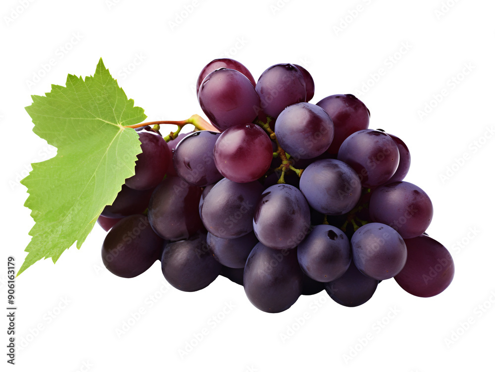 Fototapeta premium a bunch of grapes with a leaf