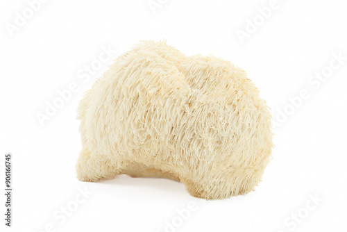 Lion's Mane Mushroom on a white background. photo