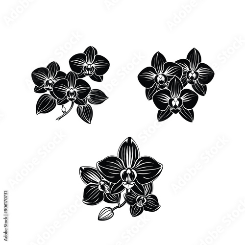 orchid flowers black colour silhouette vector design 2