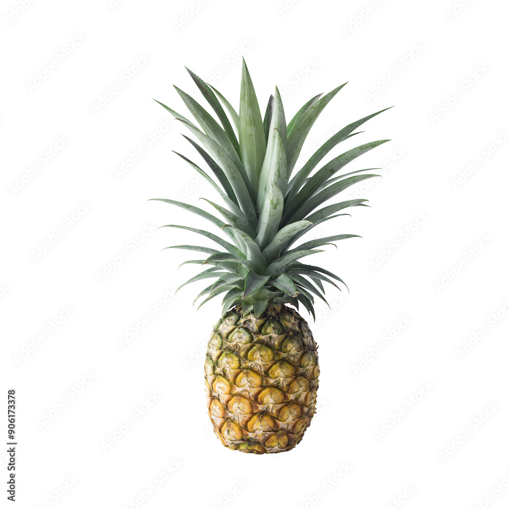 Fresh pineapple fruit with die cut transparency Fresh pineapple fruit with die cut transparency