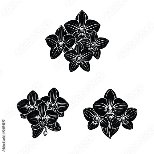 orchid flowers black colour silhouette vector design 3