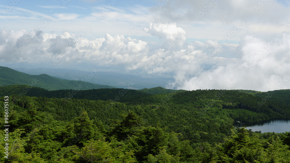 Fototapeta premium 北八ヶ岳の高見石から見る夏空と原生林／日本長野県