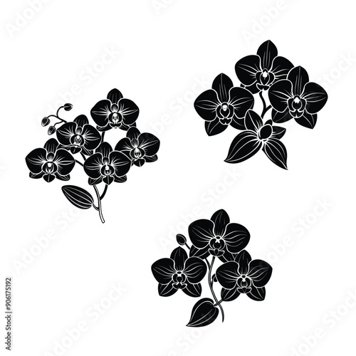 orchid flowers black colour silhouette vector design 3