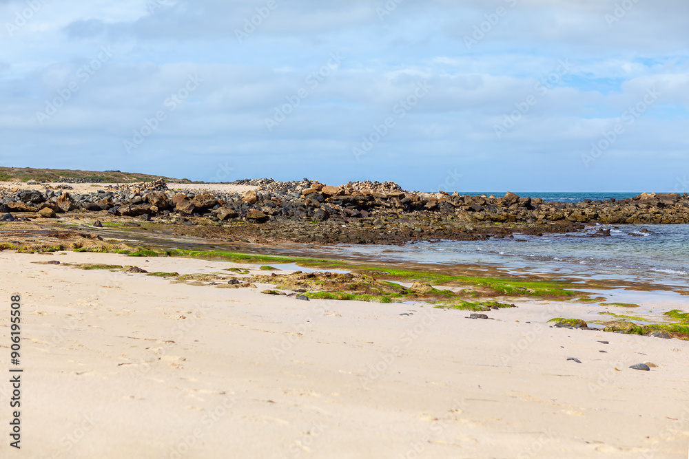 Picturesque sandy beach featuring soft golden sand and calm ocean waves, perfect for relaxation/ Beach is mostly covered in rocks and sand, with some weed in between Picturesque sandy beach featuring soft golden sand and calm ocean waves, perfect for relaxation/ Beach is mostly covered in rocks and sand, with some weed in between