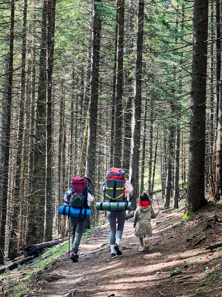 Obraz premium Back view of family of three, with two adults carrying large backpacks and child in red hooded jacket, walks along dirt trail through dense forest. Tall, straight trees create serene atmosphere.