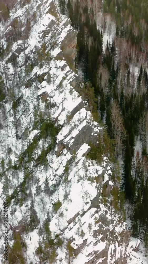 Aerial view of beautiful snow forrest during winter Aerial view of beautiful snow forrest during winter