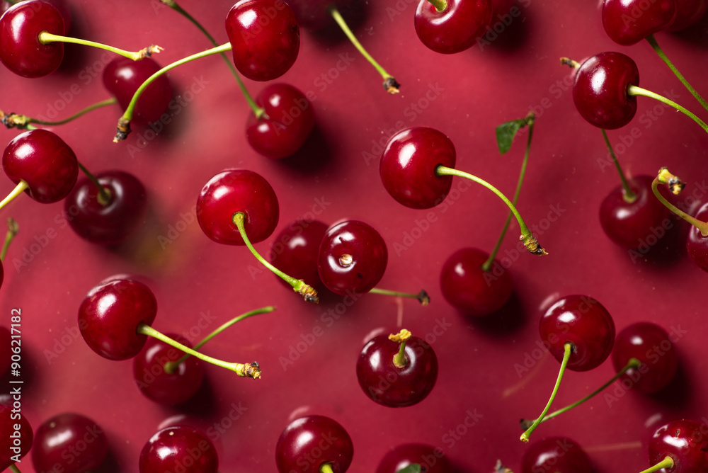 Cluster of fresh cherries on red background in bright and vivid colors
