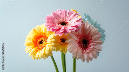 Colorful multicolor bright pastel stalk