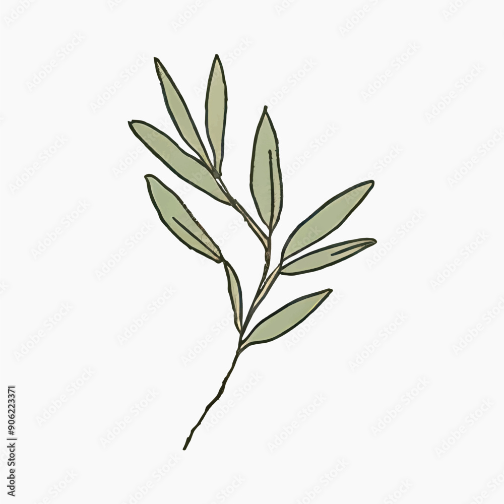 Minimalist botanical leaf illustration Minimalist botanical leaf illustration