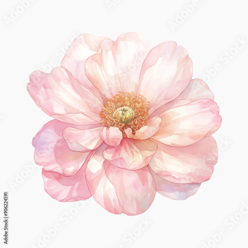 Delicate watercolor pink flower