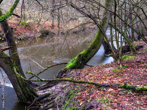 Rzeka Parsęta photo