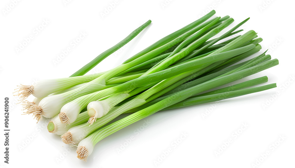 Green onion isolated on the white background with full depth of field Green onion isolated on the white background with full depth of field