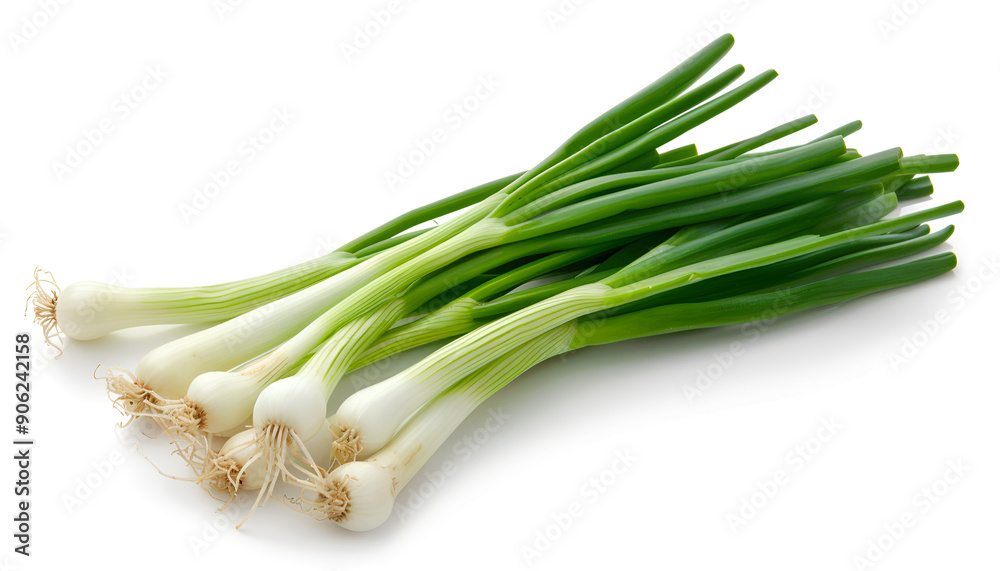 Green onion isolated on the white background with full depth of field Green onion isolated on the white background with full depth of field