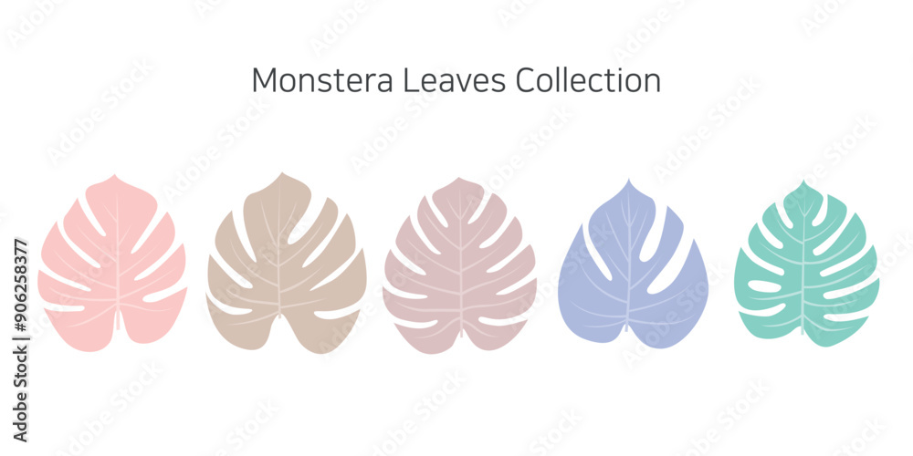 Naklejka premium Collection of colorful monstera leaves on a white background. Vector illustration.