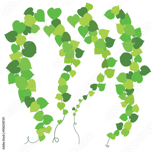 Ivy Vines stretched out on a white background. Plant, green vector illustration.