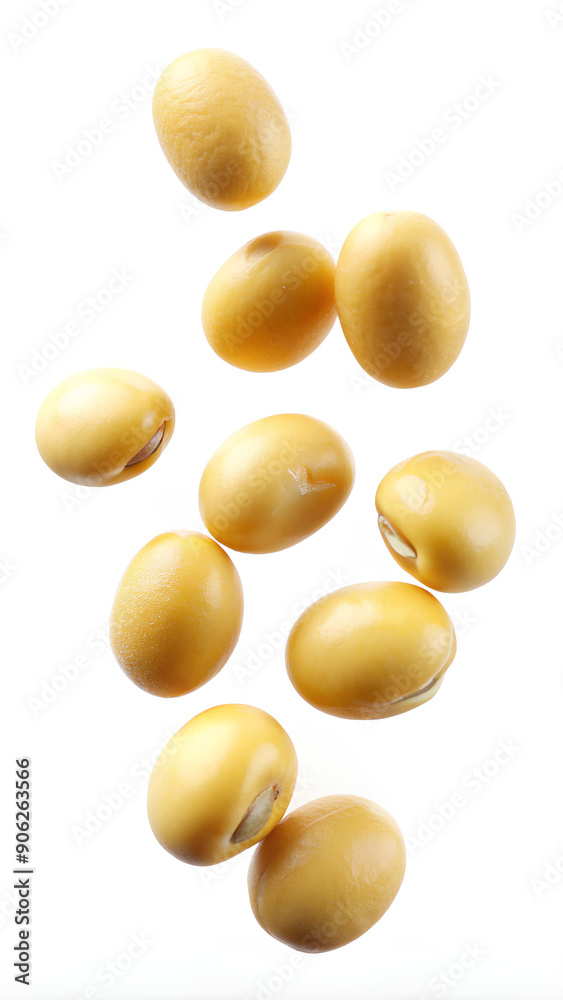 Soybean on isolate white background, Clipping path, Full HD Soybean on isolate white background, Clipping path, Full HD