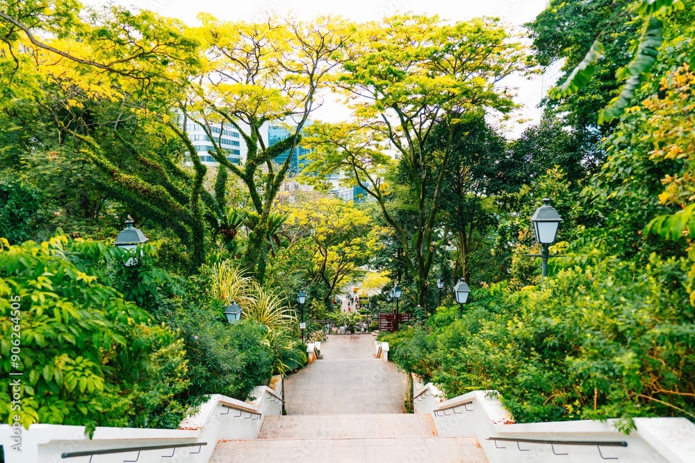 Staircase leading through lush greenery in a park with street lamps and buildings in the background Staircase leading through lush greenery in a park with street lamps and buildings in the background