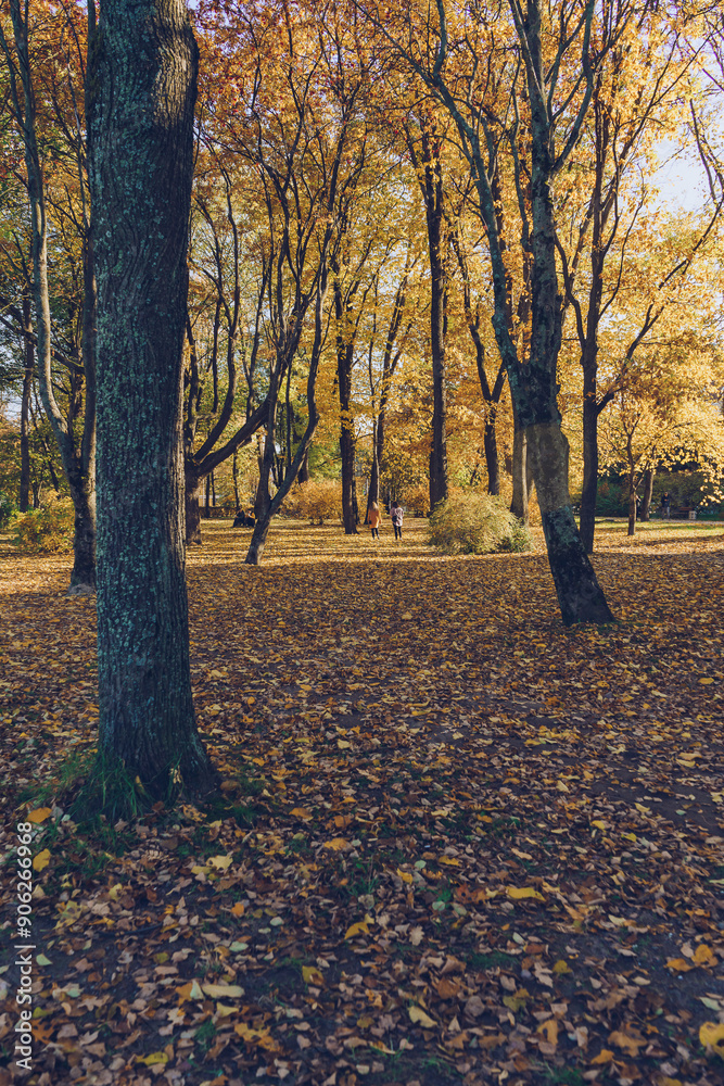 autumn park in Wiborg autumn park in Wiborg