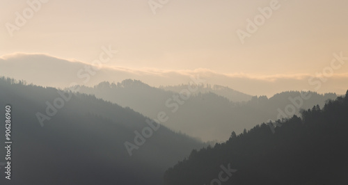 Nationalpark Schwarzwald, Black Forest National Park