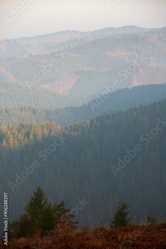 Misty Morning Overlook at Nationalpark Schwarzwald, Black Forest National Park