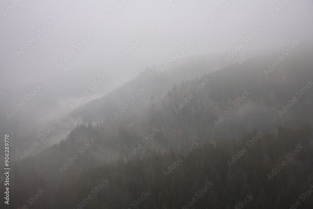 Misty Morning Overlook at Nationalpark Schwarzwald, Black Forest National Park Misty Morning Overlook at Nationalpark Schwarzwald, Black Forest National Park