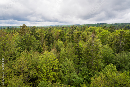 The Elevated Hiking Path of Baumwipfelpfad Schwarzwald, in the Black Forest
