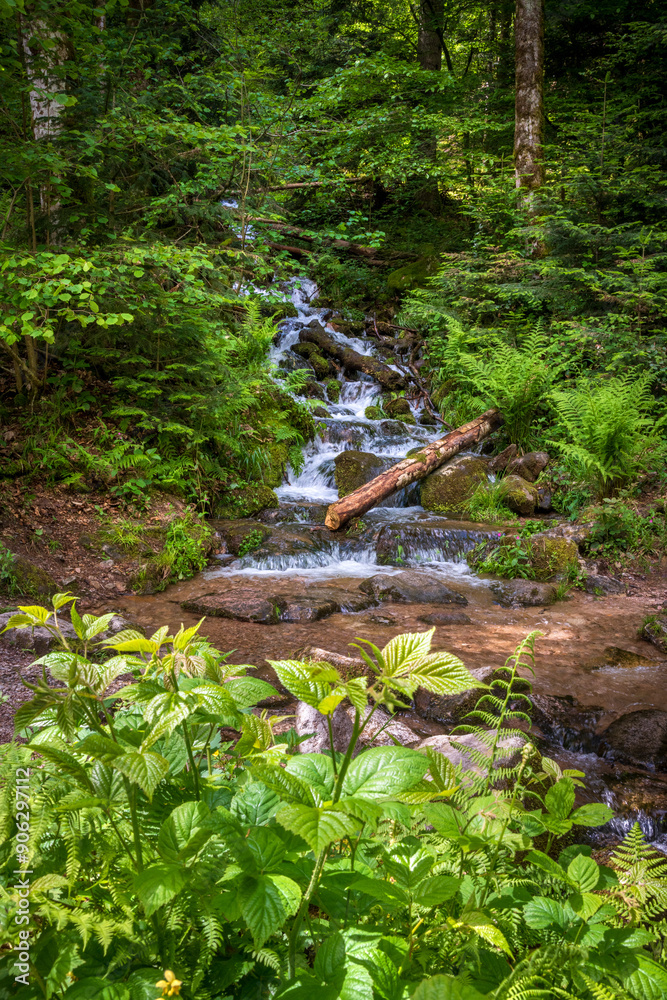 The All Saints Waterfalls in Baden-Württemberg located in the Black Forest The All Saints Waterfalls in Baden-Württemberg located in the Black Forest