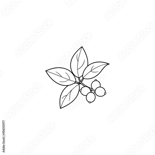 Branch of cornel or dogwood berries icon. Simple illustration of branch of cornel or dogwood berries vector icon for web