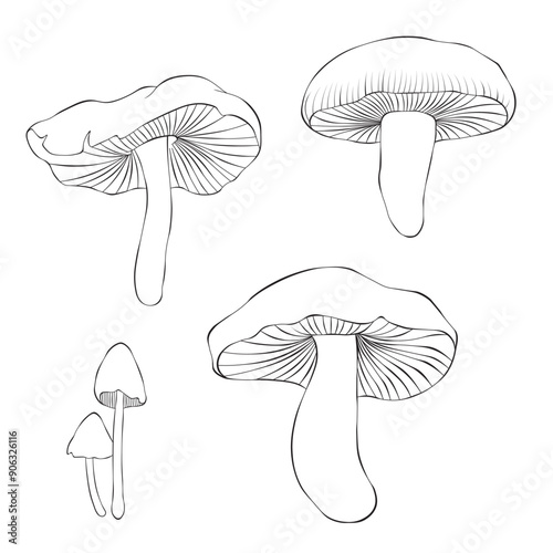 Set mushroom isolated on a white background. Vector illustration in outline style.