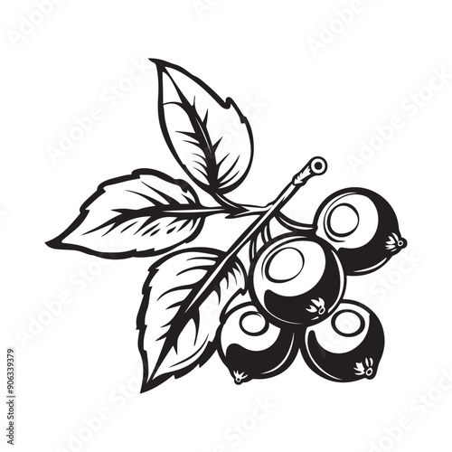 Cranberry vector illustration. Black and white Cranberry image vector.