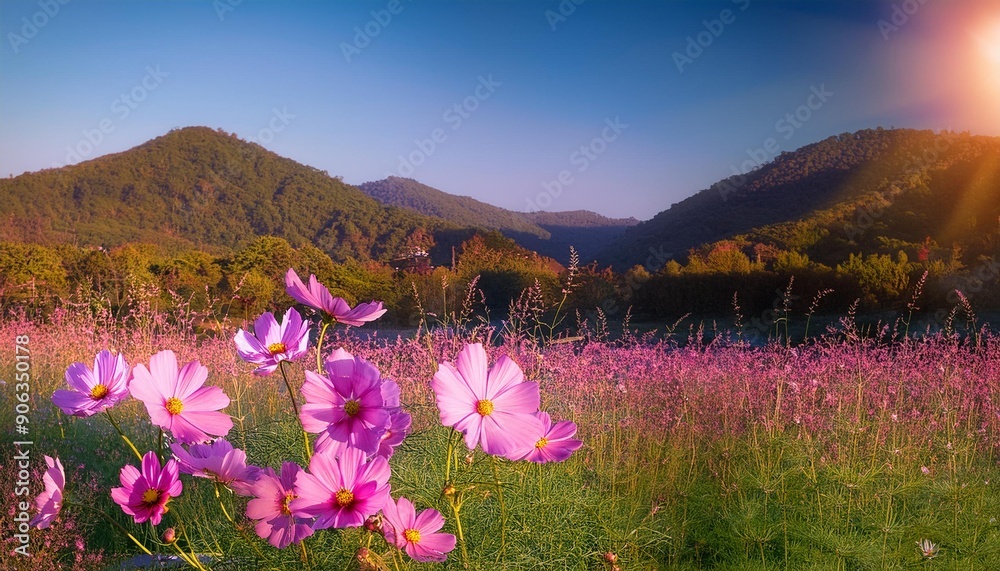 Fototapeta premium flowers in the mountains, flower, flowers, nature, landscape, mountain, spring, 