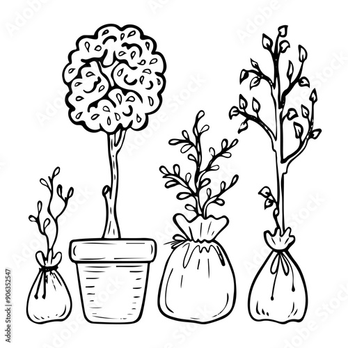 Set of seedlings of trees and shrubs hand drawn in doodle style. Plants ready for planting in the ground. Garden decor. Backyard landscape. Vector line art illustration.