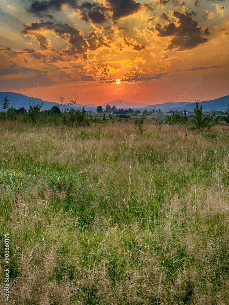 Obraz premium Wonderful landscape view on the Carpathian Mountains during the sunset in the summer season 