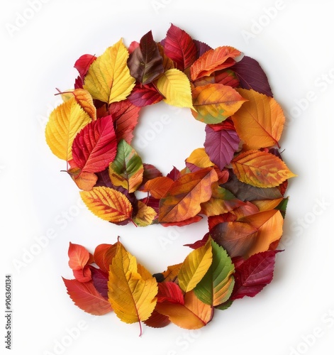 Autumn Leaves Arranged in a Number Nine on White Background