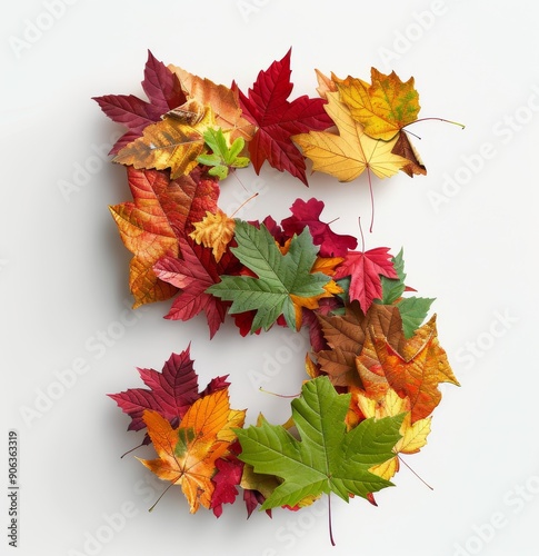 Five Shaped Arrangement of Colorful Autumn Leaves on White Background photo