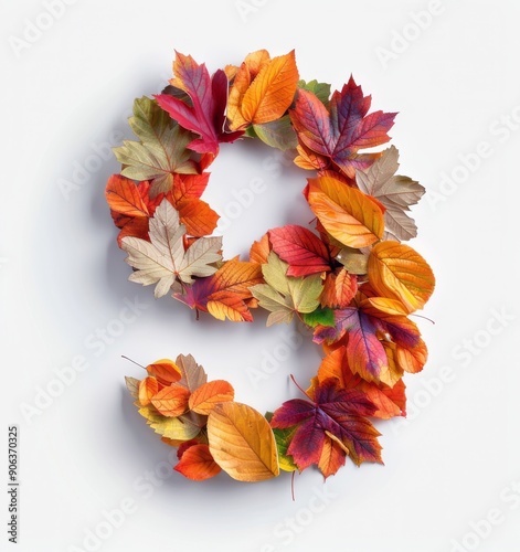Autumn Leaves Arranged in a Number Nine on White Background
