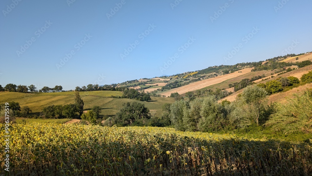 Obraz premium Panorama nelle campagne marchigiane