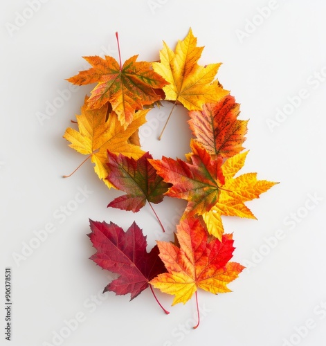 Autumn Leaves Arranged in a Number Nine on White Background