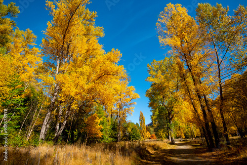 Bush Creek Recreation Reserve in Arrowtown - New Zealand