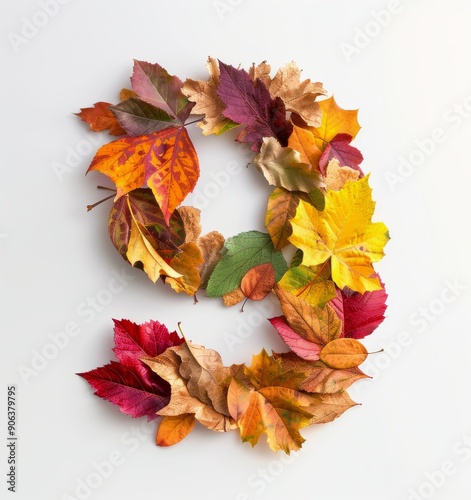 Autumn Leaves Arranged in a Number Nine on White Background