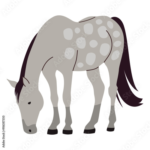 Flat vector illustration. Gray horse in apples eating grass. Vector illustration