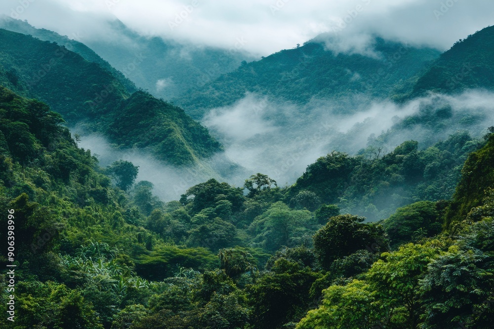 Obraz premium Lush Green Mountains Cloaked in Misty Clouds