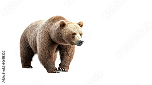 A majestic brown bear walking gracefully, showcasing its powerful physique and rich fur, ideal for nature-themed projects.