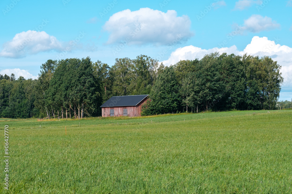Obraz premium Rural landscape with fields and farming animals. Helsinki scenery.